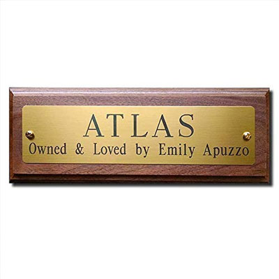 Brass plates